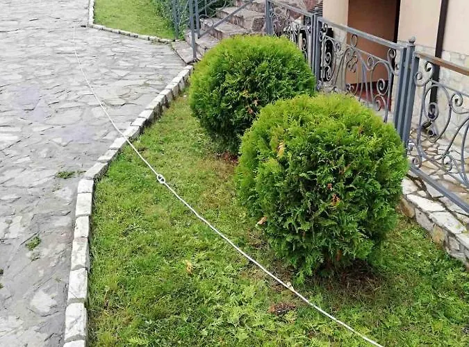 Zelenkada Daire Zlatibor